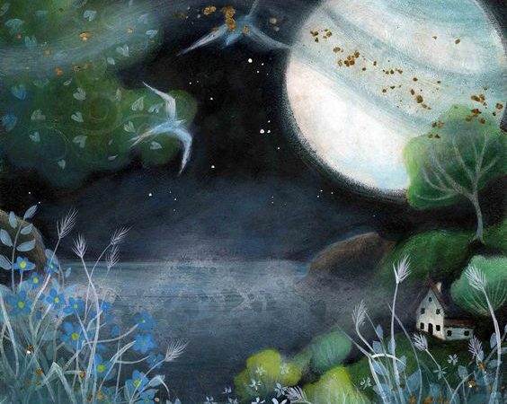 The Moon Cycle